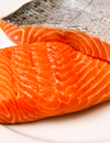 What are the Health Benefits of SALMON?