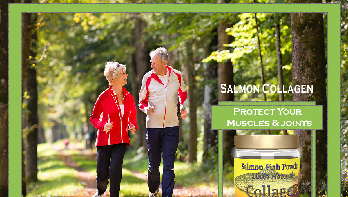 Salmon Collagen Fish Powder: Effective Muscle And Joint Pain Supplement